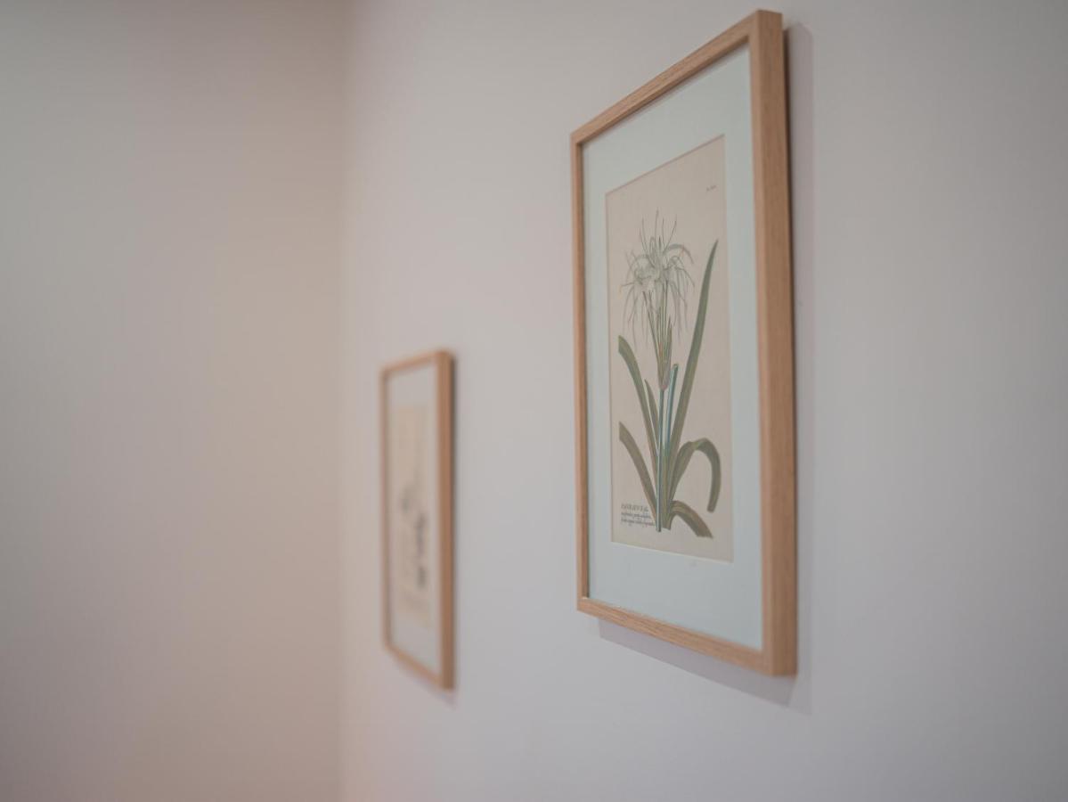 L'Annexe Clermont Ferrand 아파트 외부 사진